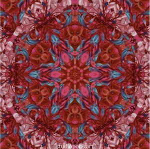 Flor Kaleidoscopio