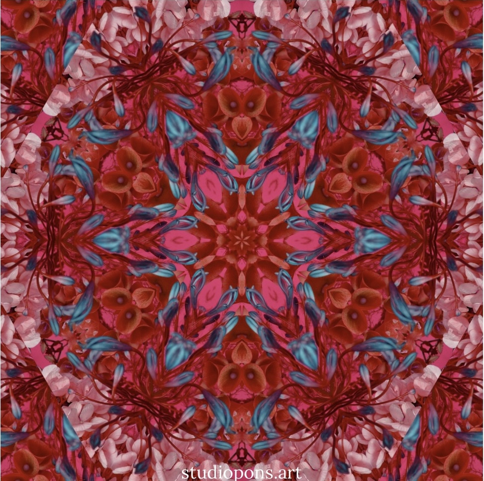 Flor Kaleidoscopio