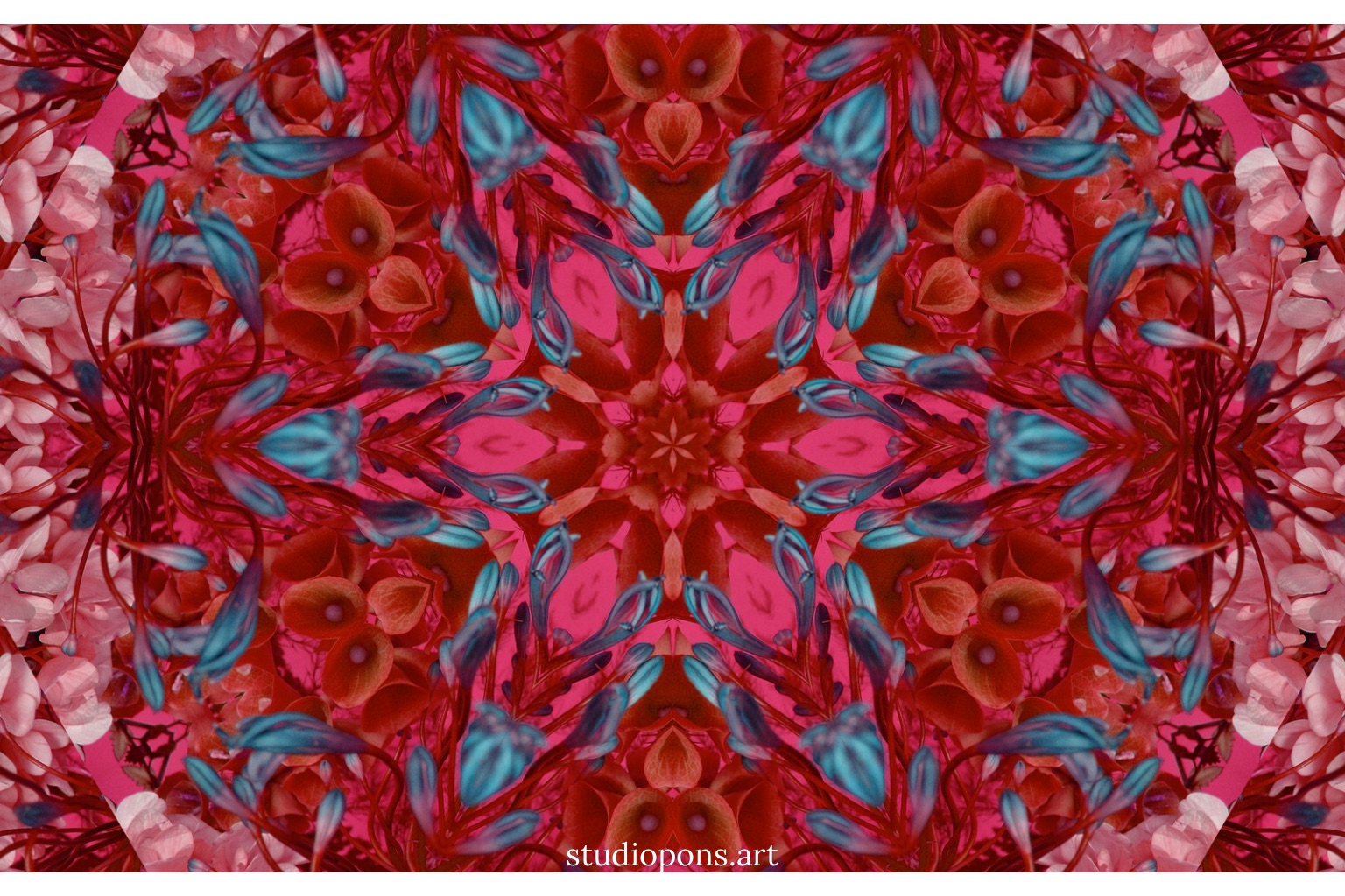 Flor Kaleidoscopio - Imagen 2